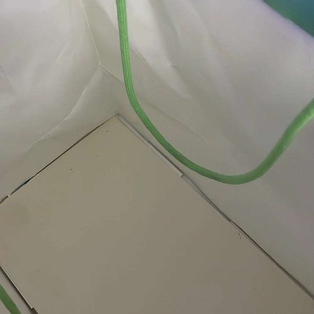 Swarovski Green Shopping Bag - Picture 3 of 3